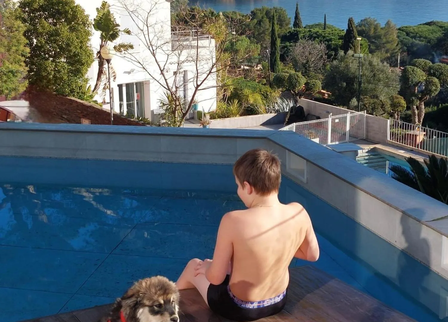 Villa Climatisee Au Lavandou Avec Vue Mer Avec Piscine Privee Le Lavandou